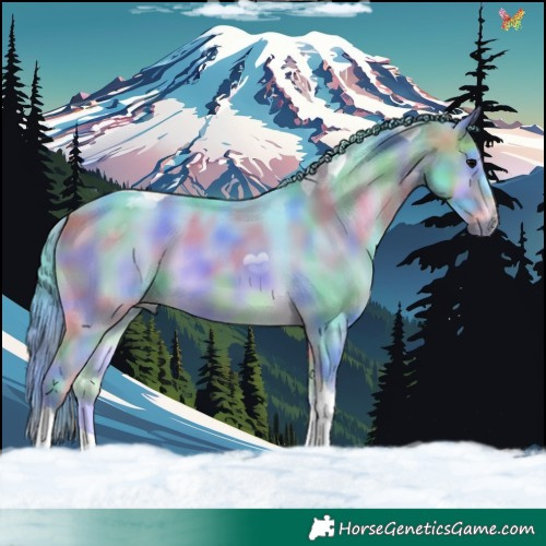 Horse Color:Nacre Watercolor Brown Onyx Tobiano