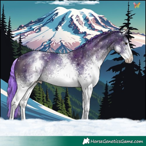 Horse Color:Watercolor White Spotted Midnight Brown 