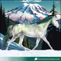 Horse Color:Platinum Plaid  White Spotted Brown Onyx Appaloosa 