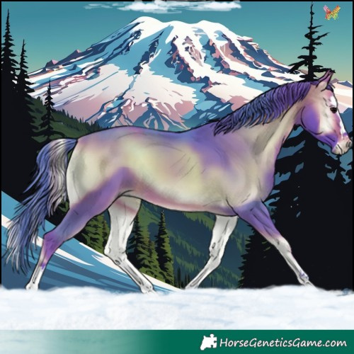 Horse Color:Watercolor White Spotted Brown Onyx Splash