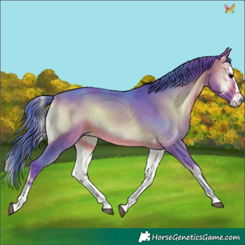 Horse Color:Watercolor White Spotted Brown Onyx Splash