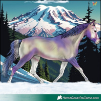 Horse Color:Watercolor White Spotted Brown Onyx Splash