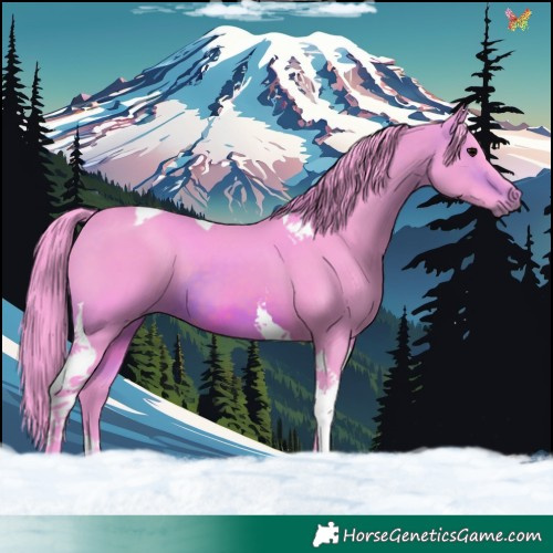 Horse Color:Watercolor Brown Tobiano 