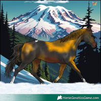 Horse Color:Brown Tobiano 