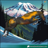 Horse Color:Brown Tobiano 