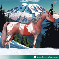 Horse Color:Watercolor Liver Chestnut Tobiano