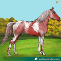 Horse Color:Watercolor Liver Chestnut Tobiano 