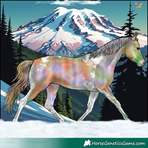 Horse Color:Nacre Watercolor Bay Onyx Tobiano 