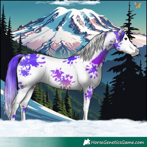 Horse Color:Watercolor Brown Splash Tobiano 
