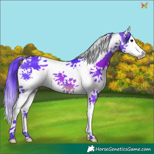Horse Color:Watercolor Brown Splash Tobiano