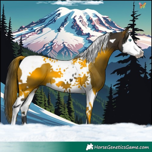 Horse Color:Brown Splash Tobiano 