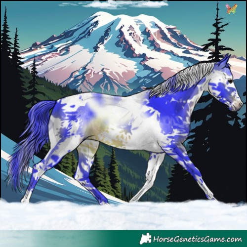 Horse Color:Watercolor Brown Splash Tobiano 