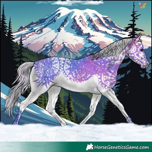 Horse Color:Watercolor Silver Buckskin Splash Tobiano 