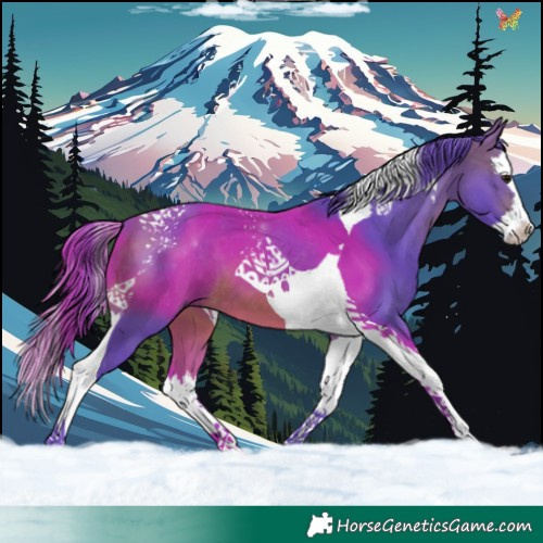 Horse Color:Watercolor Brown Splash Tobiano 