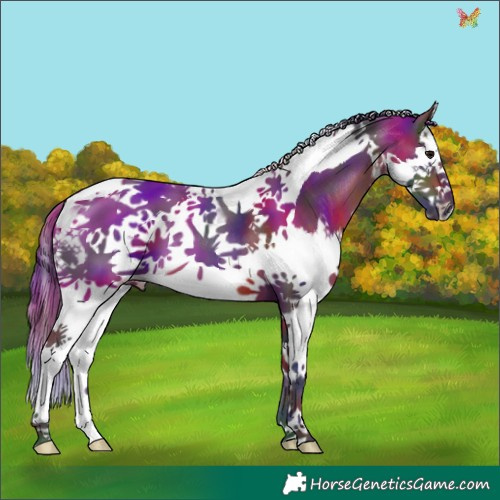 Horse Color:Nacre Brown Splash Tobiano 