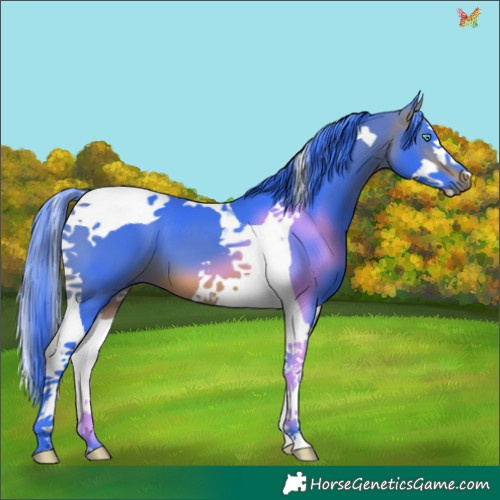 Horse Color:Watercolor Bay Splash Tobiano 
