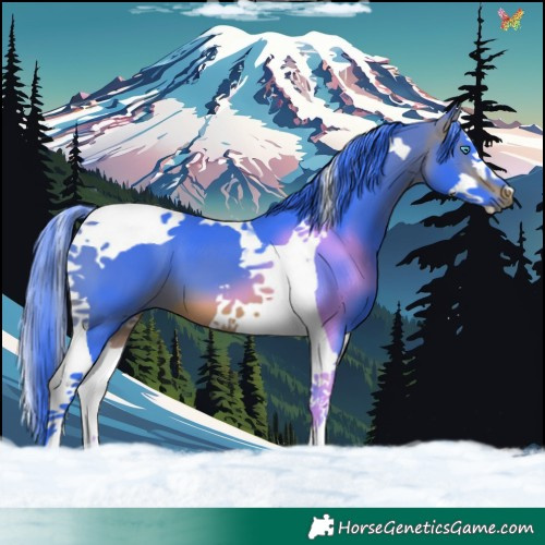 Horse Color:Watercolor Bay Splash Tobiano 