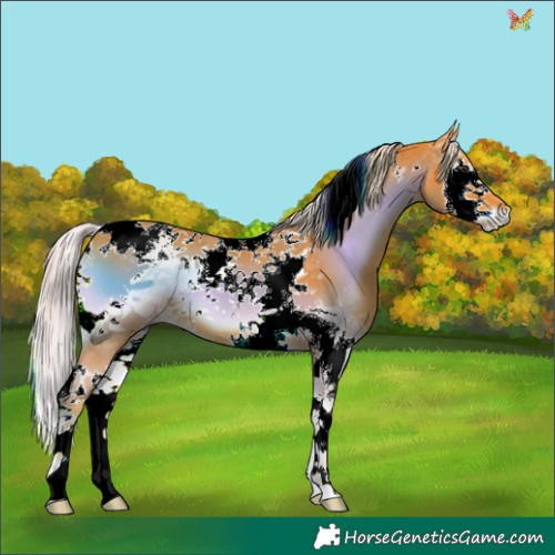 Horse Color:Watercolor Chocolate Palomino Onyx Splash Tobiano 