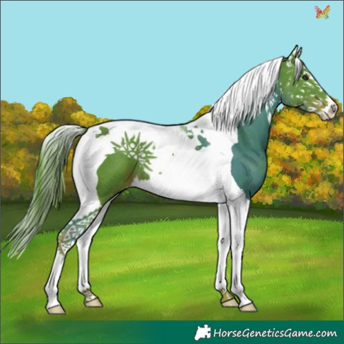 Horse Color:Watercolor Liver Chestnut Splash Tobiano 