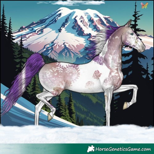 Horse Color:Watercolor Bay Onyx Splash Tobiano 