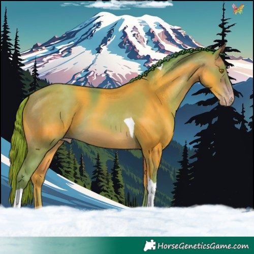 Horse Color:Watercolor Sable Champagne Tobiano 