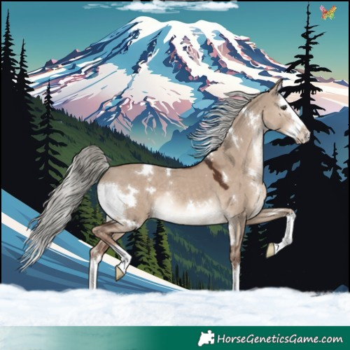 Horse Color:White Spotted Liver Red Dun Mushroom Splash Rabicano 