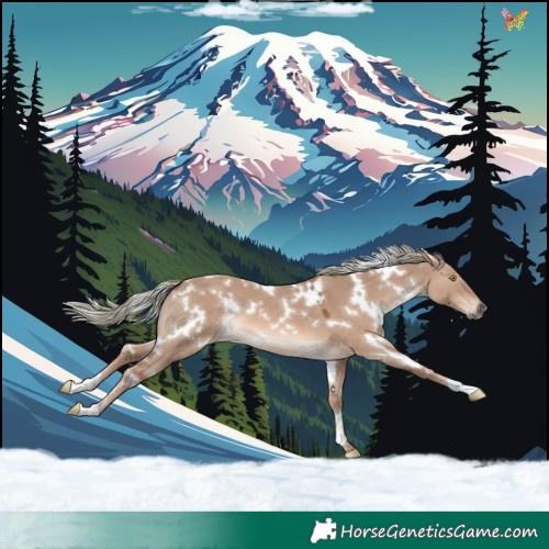 Horse Color:White Spotted Red Dun Mushroom 