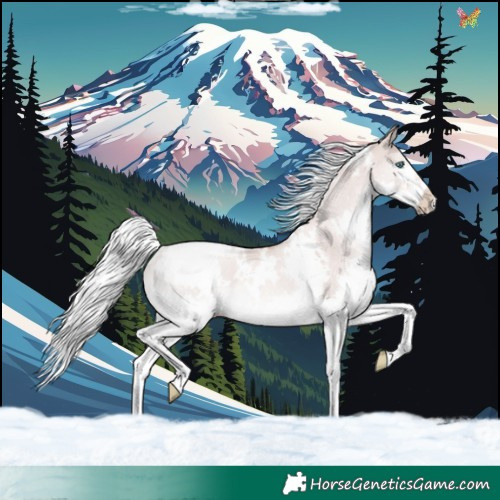 Horse Color:White Spotted Gold Champagne Dun Mushroom Splash Rabicano 