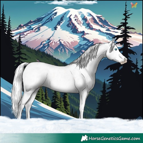 Horse Color:Gold Champagne Dun Mushroom Splash Blanket Rabicano 