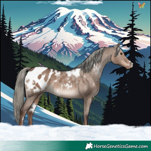 Horse Color:White Spotted Liver Red Dun Mushroom Appaloosa Rabicano 