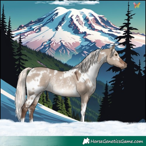 Horse Color:White Spotted Liver Red Dun Mushroom Rabicano 
