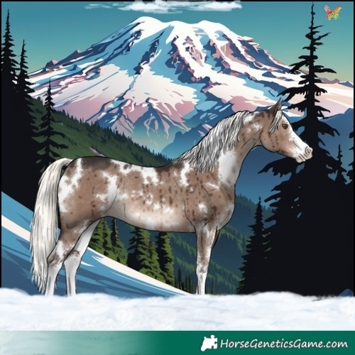 Horse Color:White Spotted Liver Red Dun Mushroom Sabino Rabicano Brindle 