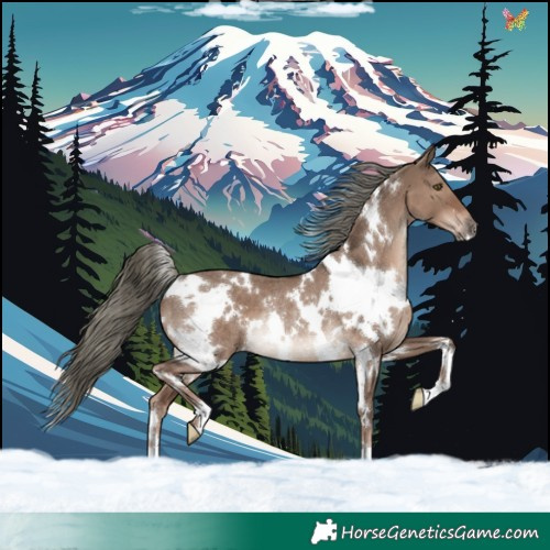 Horse Color:White Spotted Liver Red Dun Mushroom Rabicano 