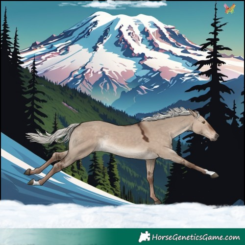 Horse Color:Liver Red Dun Mushroom Rabicano 