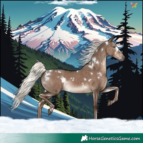 Horse Color:White Spotted Liver Red Dun Mushroom Rabicano Brindle 