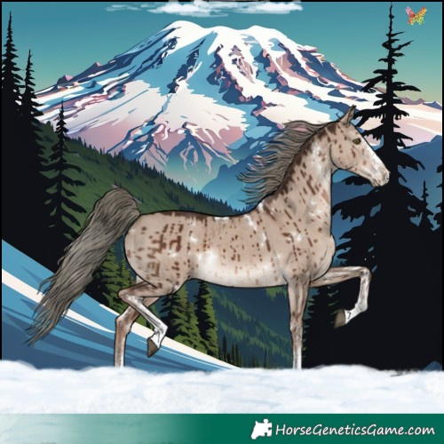 Horse Color:White Spotted Liver Red Dun Mushroom Rabicano Brindle 