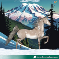 Horse Color:White Spotted Liver Red Dun Mushroom Rabicano