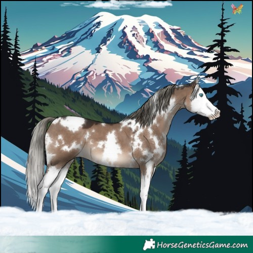 Horse Color:White Spotted Liver Red Dun Mushroom Splash 