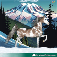 Horse Color:White Spotted Liver Red Dun Mushroom Splash 