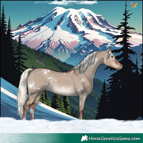 Horse Color:White Spotted Liver Red Dun Mushroom Rabicano 