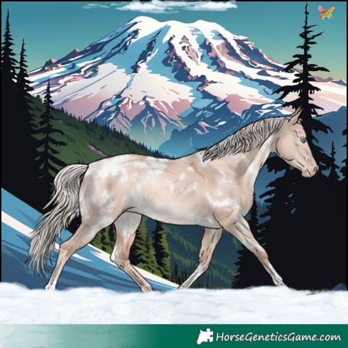 Horse Color:White Spotted Gold Champagne Dun Mushroom Rabicano 