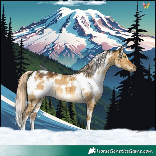 Horse Color:White Spotted Chocolate Palomino Dun Mushroom Brindle 