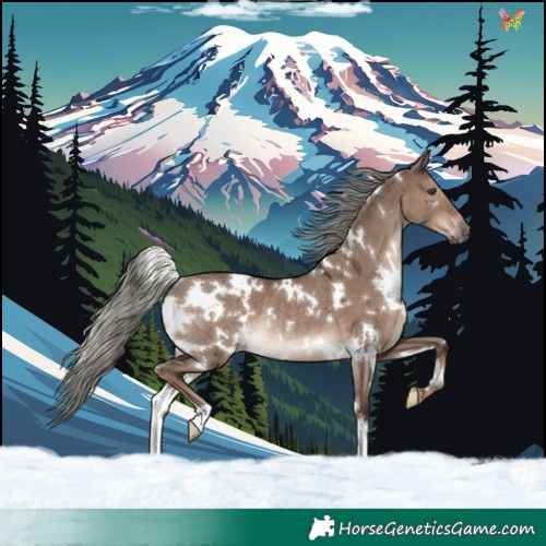 Horse Color:White Spotted Liver Red Dun Mushroom Rabicano 