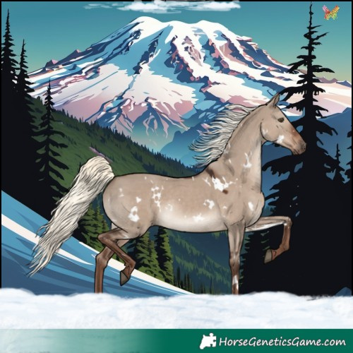 Horse Color:White Spotted Liver Red Dun Mushroom Rabicano 