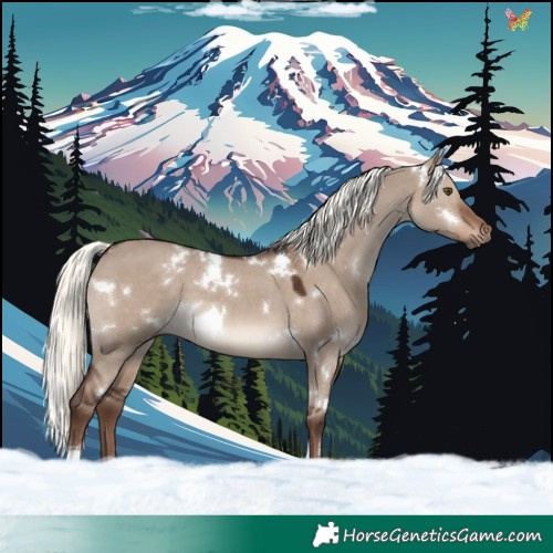 Horse Color:White Spotted Liver Red Dun Mushroom Tobiano 