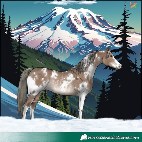 Horse Color:White Spotted Liver Red Dun Mushroom Rabicano 