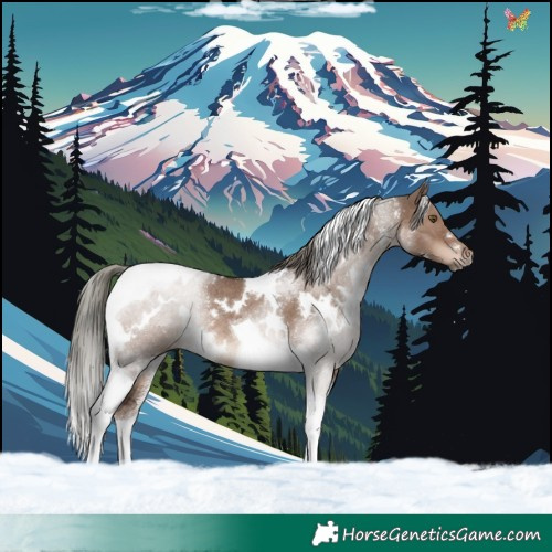 Horse Color:White Spotted Liver Red Dun Mushroom Tobiano Rabicano 