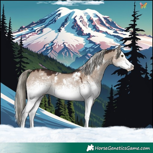 Horse Color:White Spotted Liver Red Dun Mushroom 