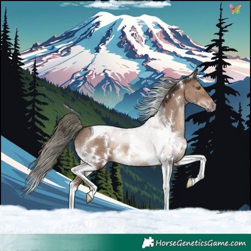 Horse Color:White Spotted Liver Red Dun Mushroom Tobiano 