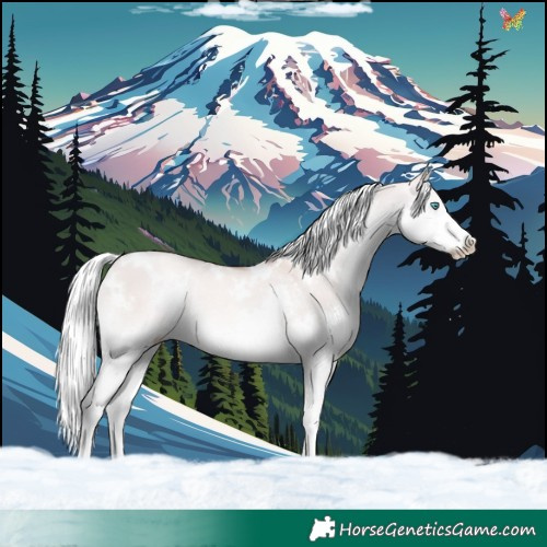 Horse Color:White Spotted Gold Champagne Dun Mushroom Splash Rabicano 